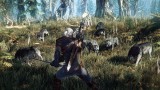 The Witcher 3 Wild Hunt + Dark Souls Iii