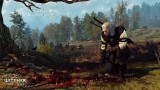The Witcher 3 Wild Hunt Goty Edition