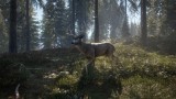 Joc Thehunter Call Of The Wild pentru Xbox One