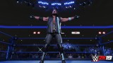 Joc Wwe 2k19 Deluxe Edition pentru PS4