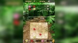 Joc Zenses Rainforest pentru Nintendo DS