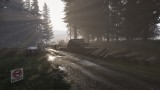 Assetto Corsa Rally - Early Access
