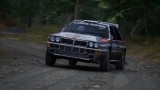 Assetto Corsa Rally - Early Access