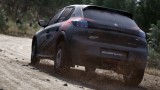 Assetto Corsa Rally - Early Access
