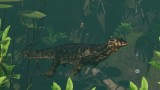 Planet Zoo: Tropical Pack