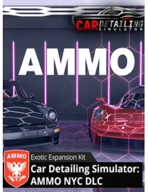 Car Detailing Simulator Ammo Nyc Dlc 