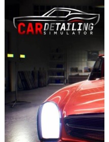 Car Detailing Simulator 