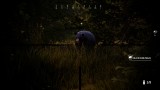 Joc Hunting Simulator 2: Bear Hunter Edition pentru PC Digital