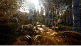 Joc Hunting Simulator 2 pentru PC Digital