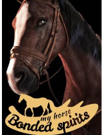 My Horse Bonded Spirits 