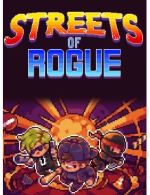 Streets Of Rogue Key 