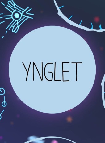 Ynglet Digital pentru PC