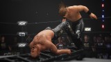 Joc All Elite Wrestling Aew Fight Forever pentru PS4