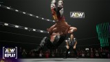 Joc All Elite Wrestling Aew Fight Forever pentru PS4