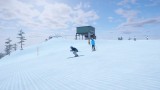 Joc Alpine The Simulation Game pentru PS4