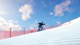 Joc Alpine The Simulation Game pentru PS4