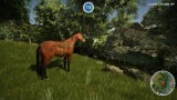 Joc Animal Doctor pentru PS4