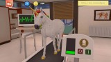 Joc Animal Hospital pentru XBOX SERIES