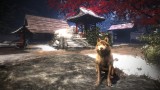 Joc Arashi Castle Of Sin Vr pentru PS4