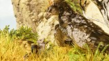 Joc Ark Survival Ascended pentru PS5