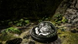 Joc Ark The Ultimate Survivor Edition pentru PS4