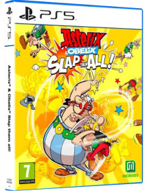 Asterix Obelix Slap Them All! 