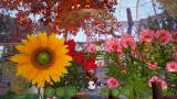 Joc Bee Simulator The Hive Slipcase Edition pentru PS5