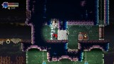 Joc Beyond The Ice Palace II pentru Nintendo Switch