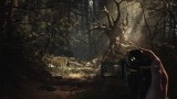 Joc Blair Witch pentru PC