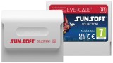 Joc Blaze Evercade Sunsoft Collection 1