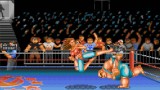 Joc Blaze Evercade Team 17 Amiga Collection 1