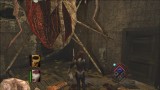 Joc Bloodrayne Revamped pentru PS4