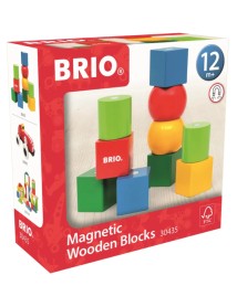 Brio Magnetic Wooden Blocks (30435) 