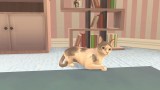 Joc Cat Rescue Story pentru Nintendo Switch