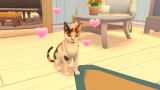 Joc Cat Rescue Story pentru Nintendo Switch