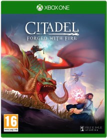 Citadel Forged With Fire 