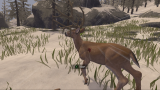 Joc Deer Hunter Reloaded pentru PS4