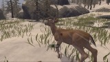 Joc Deer Hunter Reloaded pentru Xbox One