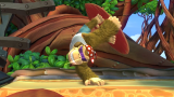 Joc Donkey Kong Country Tropical Freeze pentru Nintendo Switch