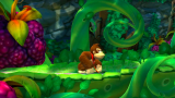 Joc Donkey Kong Country Tropical Freeze pentru Nintendo Switch