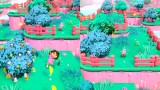 Joc Dora Rainforest Rescue pentru XBOX SERIES X / Xbox One