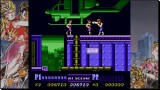Joc Double Dragon Collection pentru Nintendo Switch