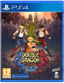 Double Dragon Gaiden Rise Of The Dragons 
