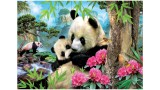  Educa 1000 Pcs Morning Panda Puzzle (017995)