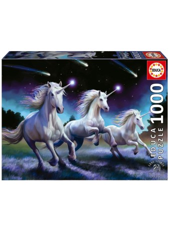  Educa 1000 Pcs Shooting Stars (80-19919)