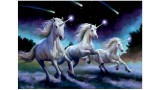  Educa 1000 Pcs Shooting Stars (80-19919)