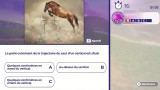 Joc Equestrian Training pentru PS4