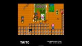 Joc Evercade Taito Arcade 2 Ever Int