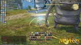 Joc Final Fantasy XIV Online pentru PC