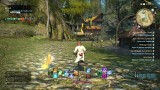 Joc Final Fantasy XIV Online pentru PC